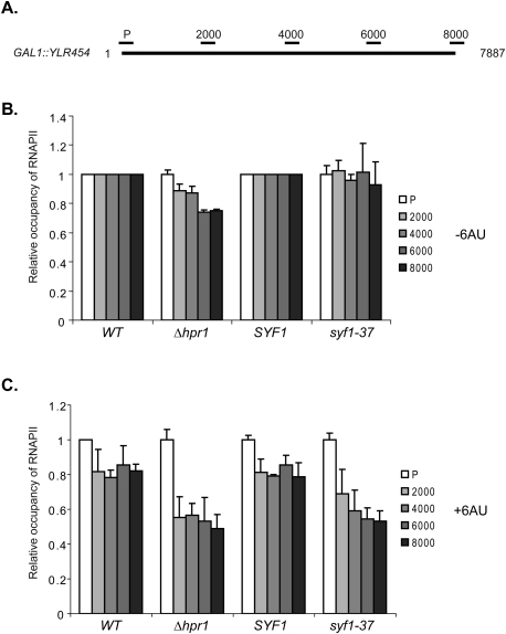 Figure 5.