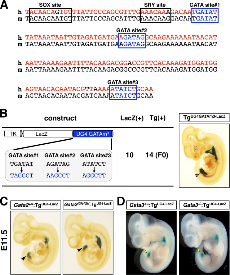 Fig 5