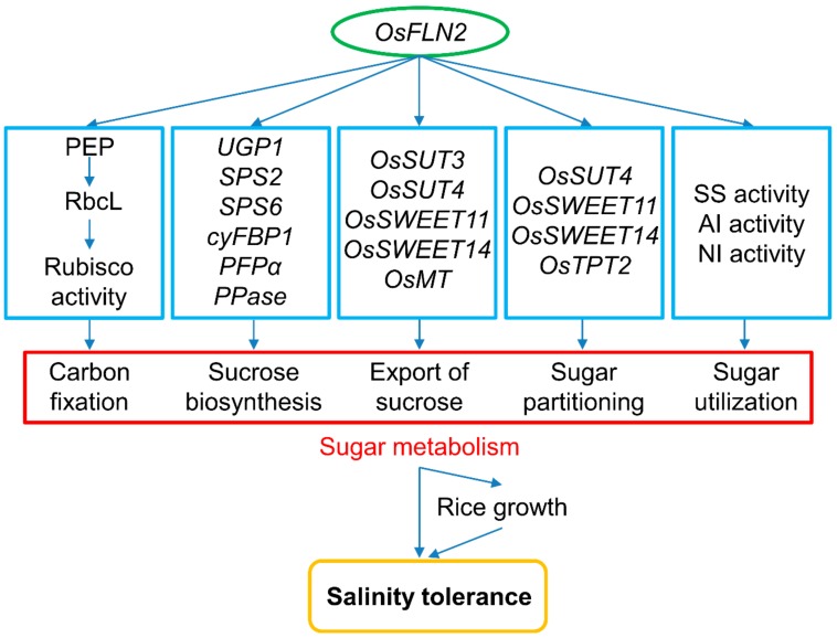 Figure 9