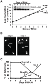 FIG 2