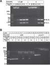 FIG 8