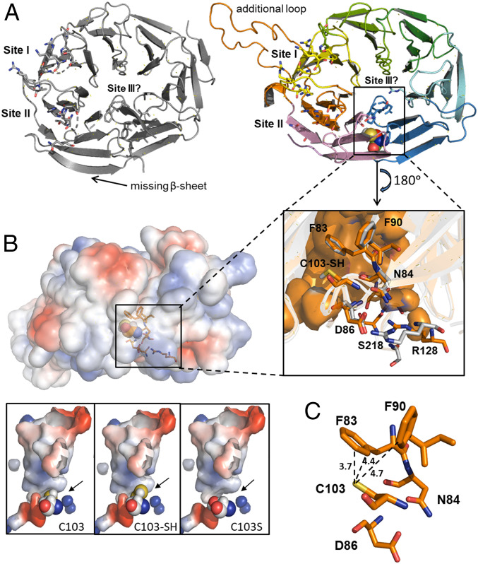 Fig. 6.