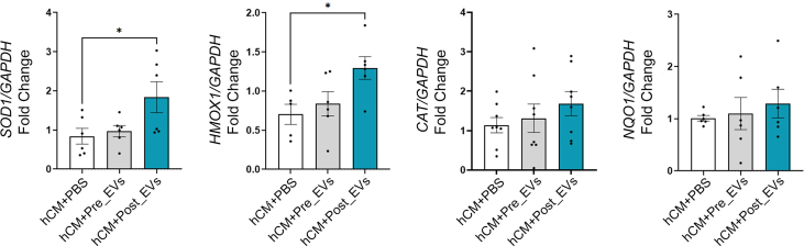 Supplementary Fig. 2