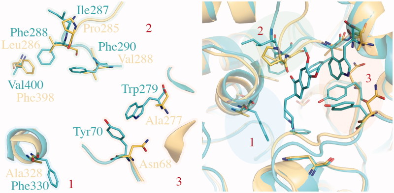 Figure 5.