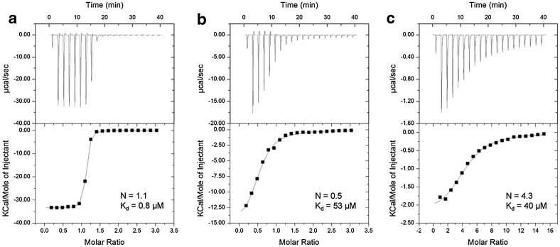 Fig. 6