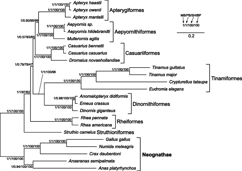 Fig. 3