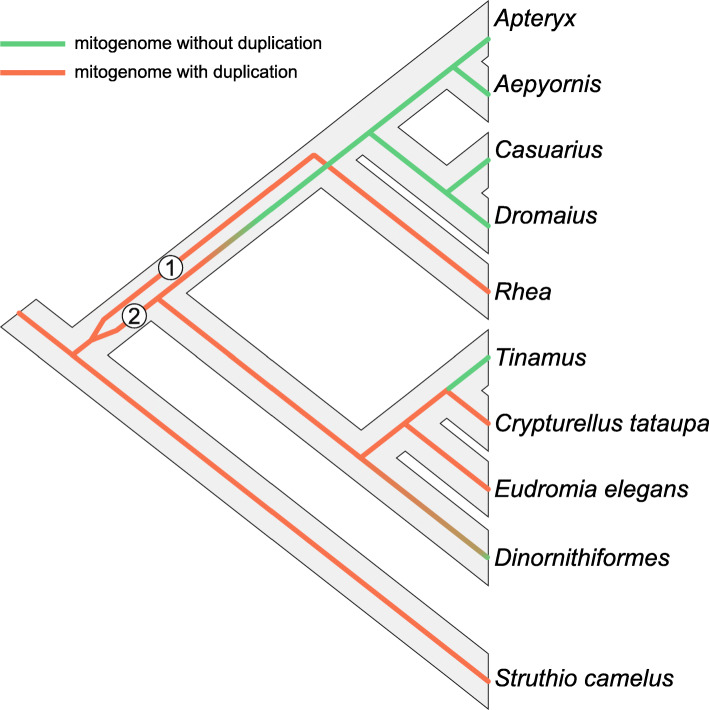 Fig. 7