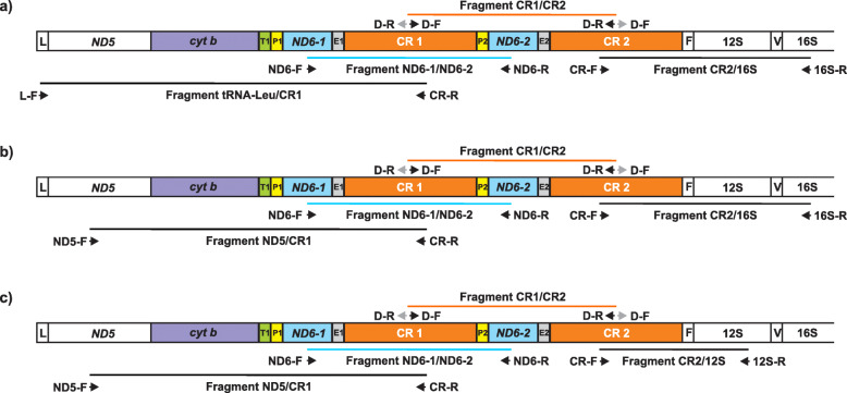 Fig. 2