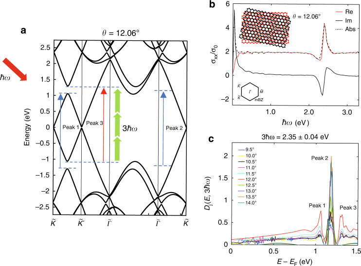 Fig. 3