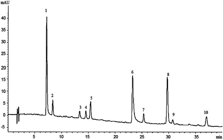 Fig. 1