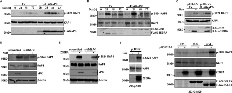 FIG 4