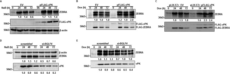 FIG 2