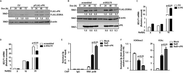 FIG 3