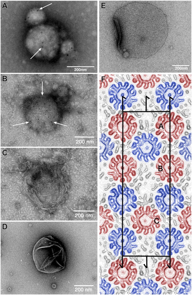 Fig. 2.