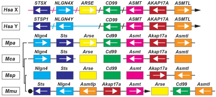 Fig. 8.