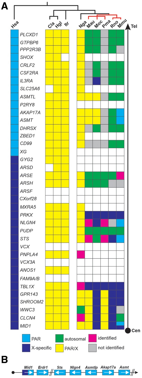 Fig. 6.