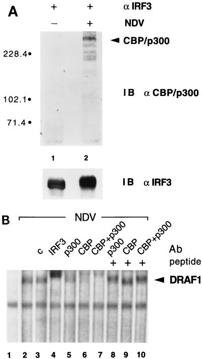 FIG. 8