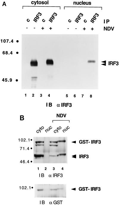 FIG. 4