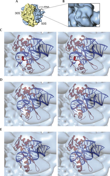 FIGURE 10.