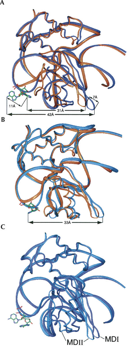 FIGURE 7.