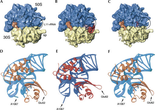 FIGURE 11.