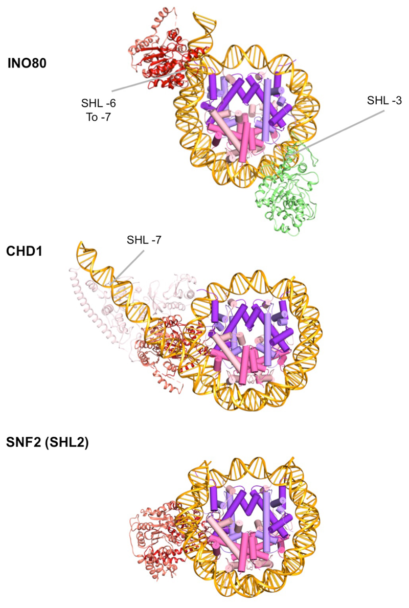 Extended Data Fig. 5