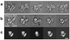 Extended Data Fig 7