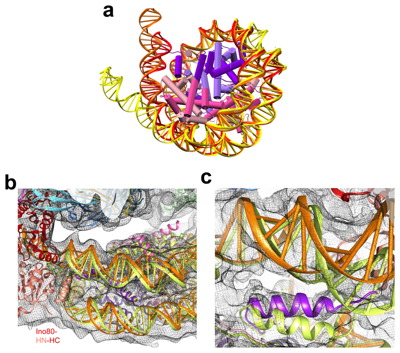 Fig. 3