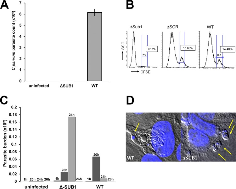 FIG 3