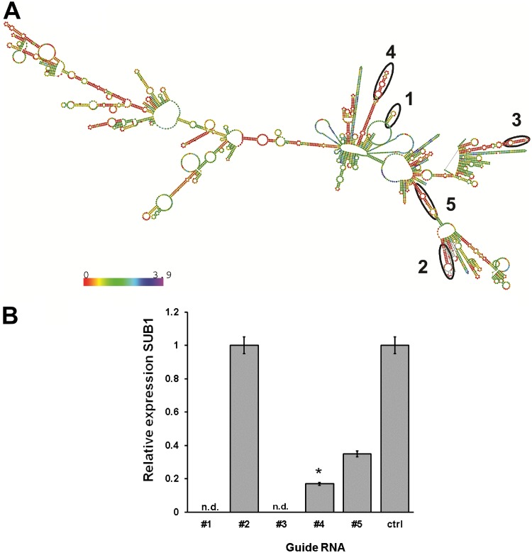 FIG 2