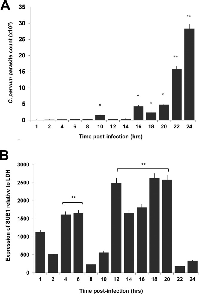 FIG 1