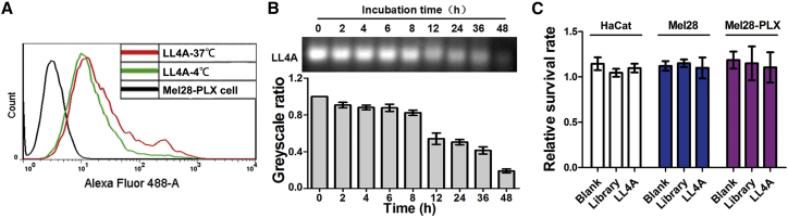 Figure 3