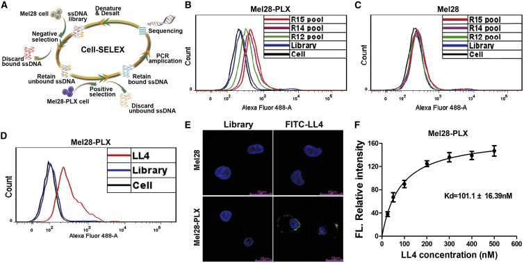 Figure 1