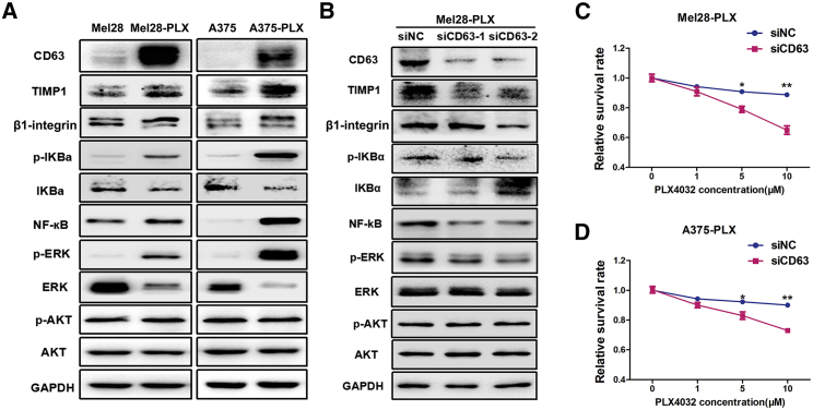 Figure 6