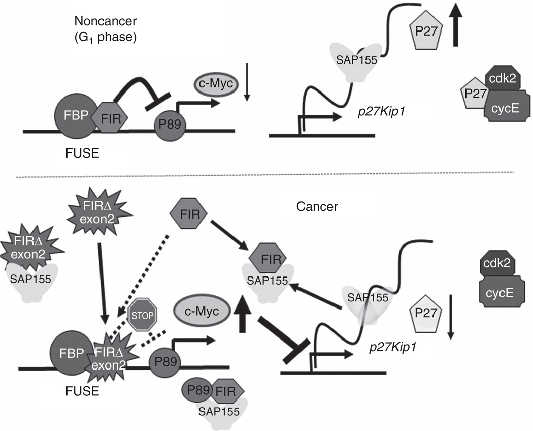 Figure 7.