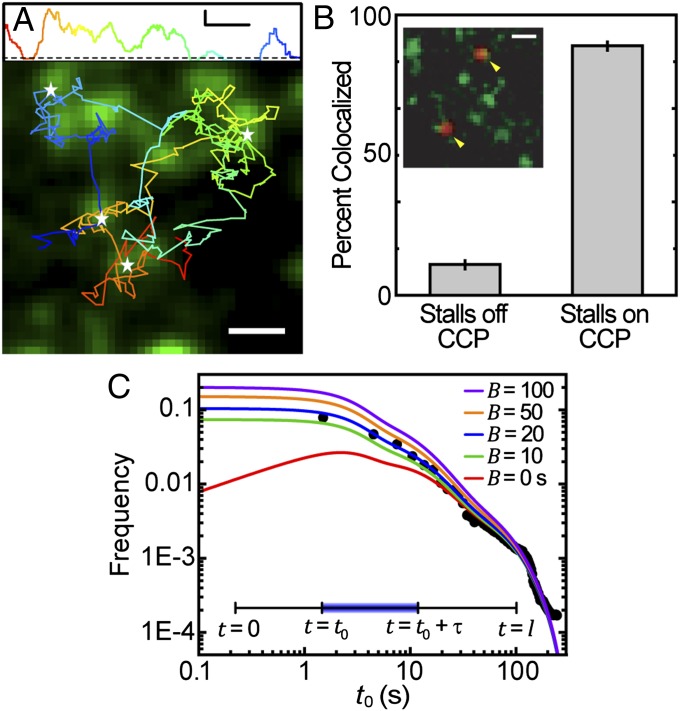 Fig. 3.