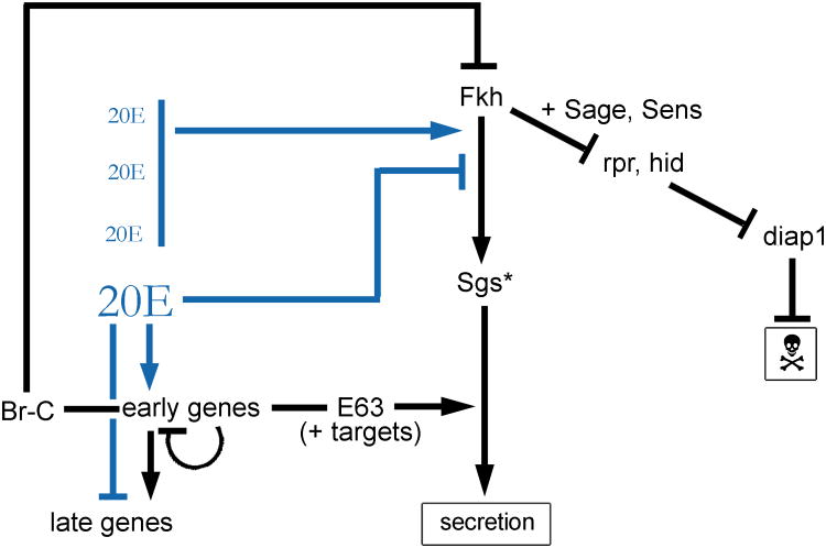 Figure 7