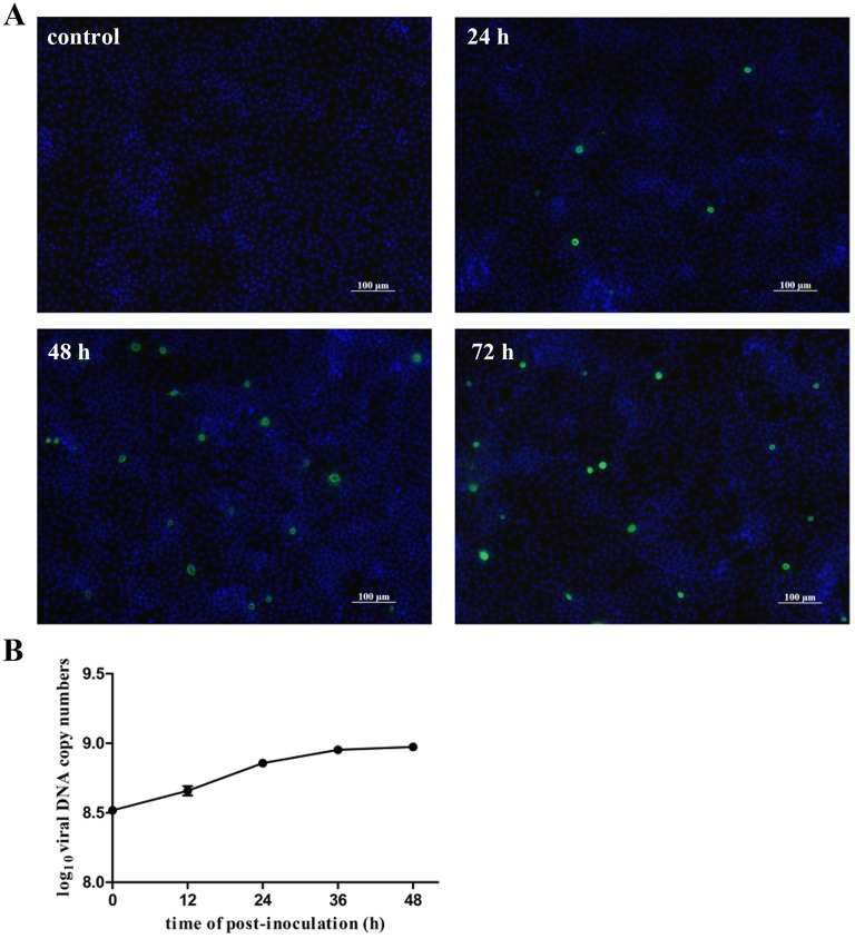 Figure 2