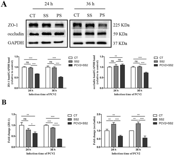 Figure 6