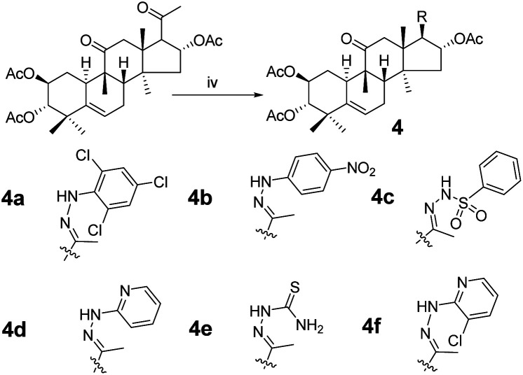 Scheme 2