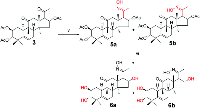 Scheme 3