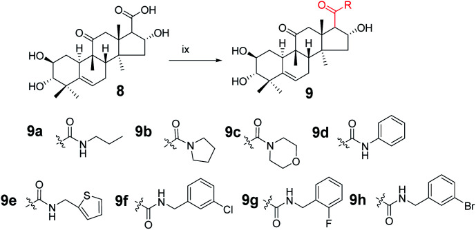 Scheme 5