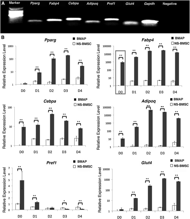 FIG. 4.