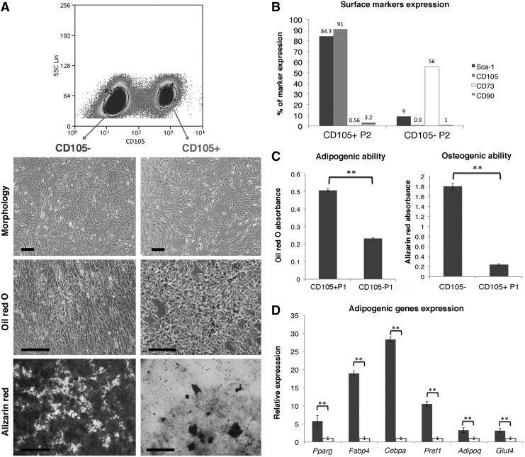 FIG. 6.