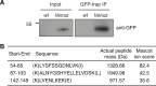 Figure 1—figure supplement 1.