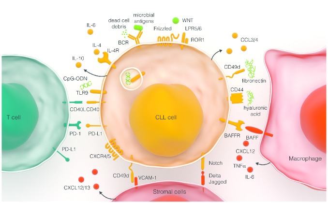 Figure 3.