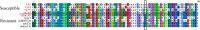 Figure 4—figure supplement 1.