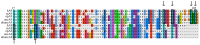 Figure 1—figure supplement 1.
