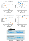 Figure 4—figure supplement 2.