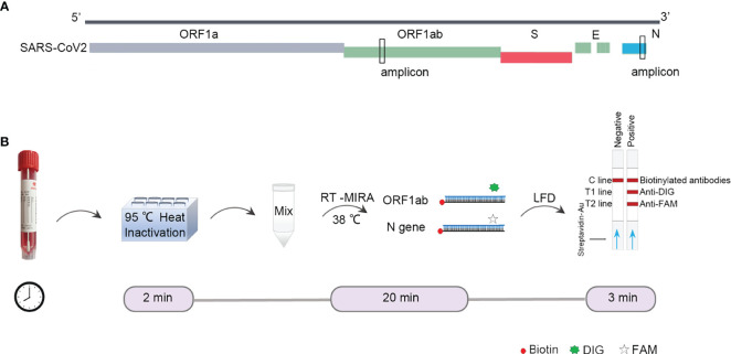 Figure 1